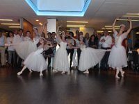 IMG 4216